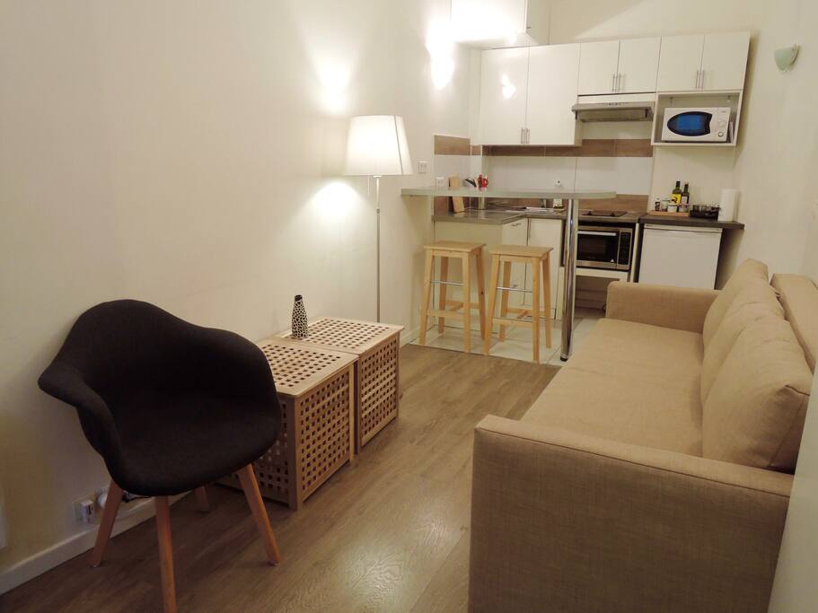 Living room with sofa-bed and Kitchen