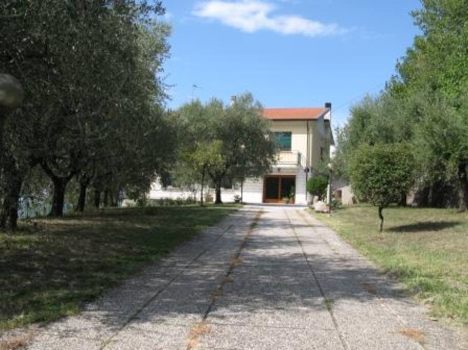 driveway
