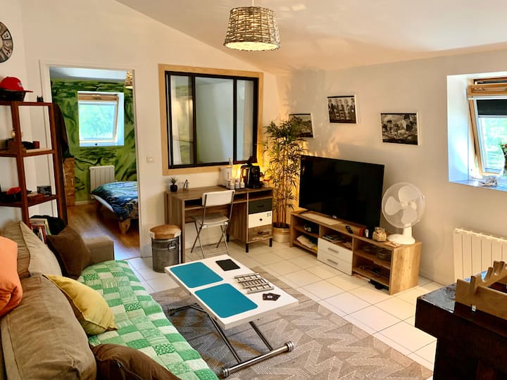 Appartement Et Piscine, Parc, Charme ! - Puilboreau
