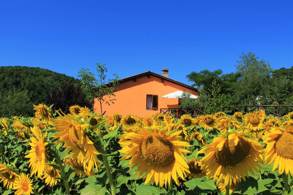 Esterno Villa