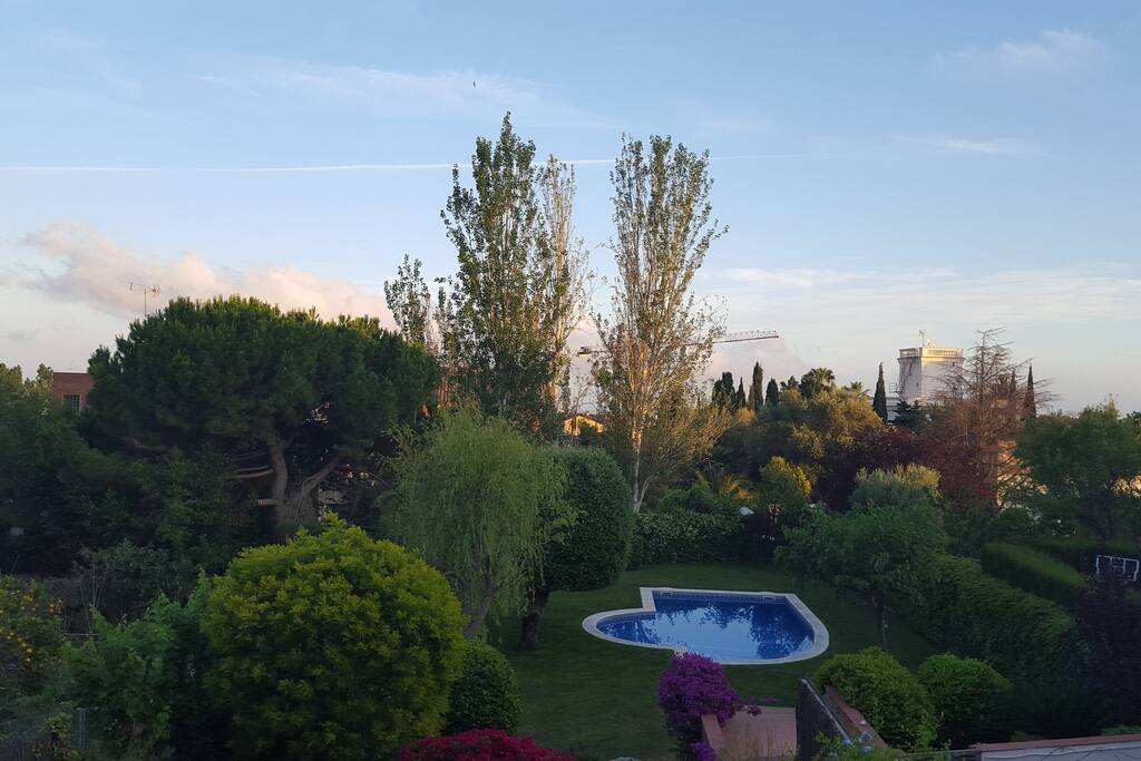 Views from the room and terrace
