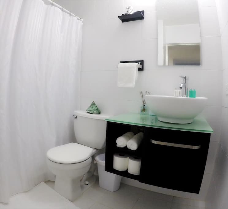Fully equipped bathroom