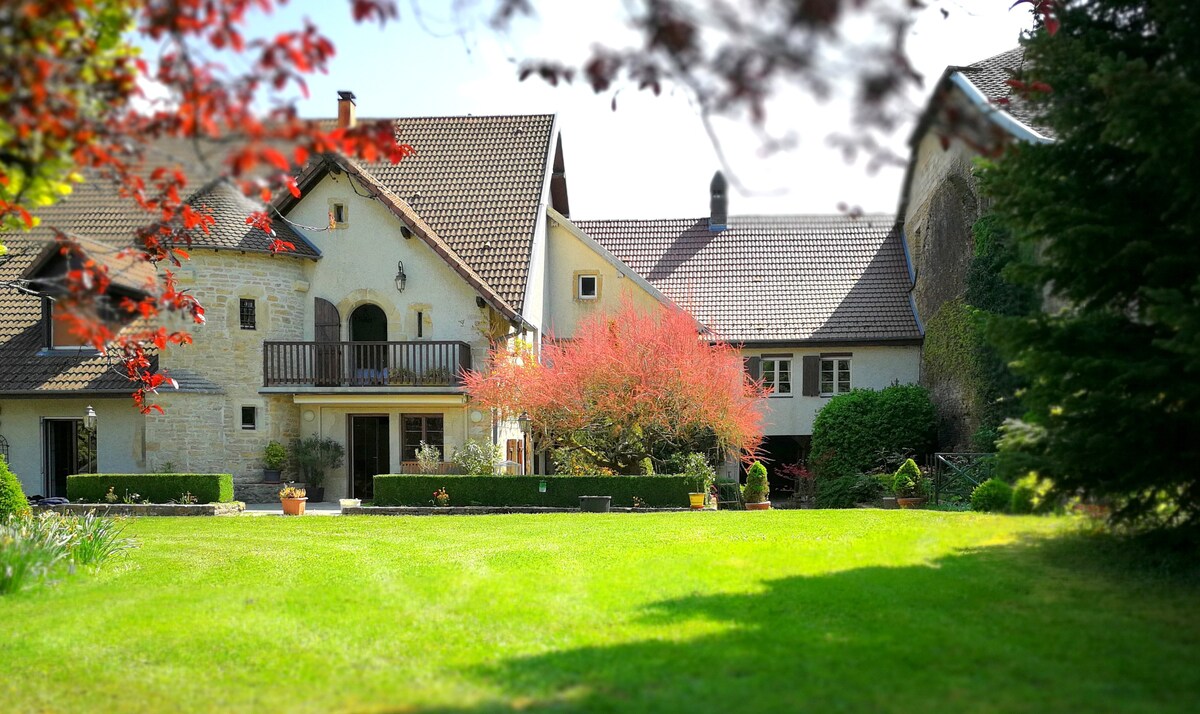 The image captures a charming house with a blend of stone and timber elements, surrounded by a well-maintained lawn. A vibrant tree adds color to the garden, while neatly trimmed hedges and flower beds enhance the outdoor space. The property features a spacious facade with a balcony.