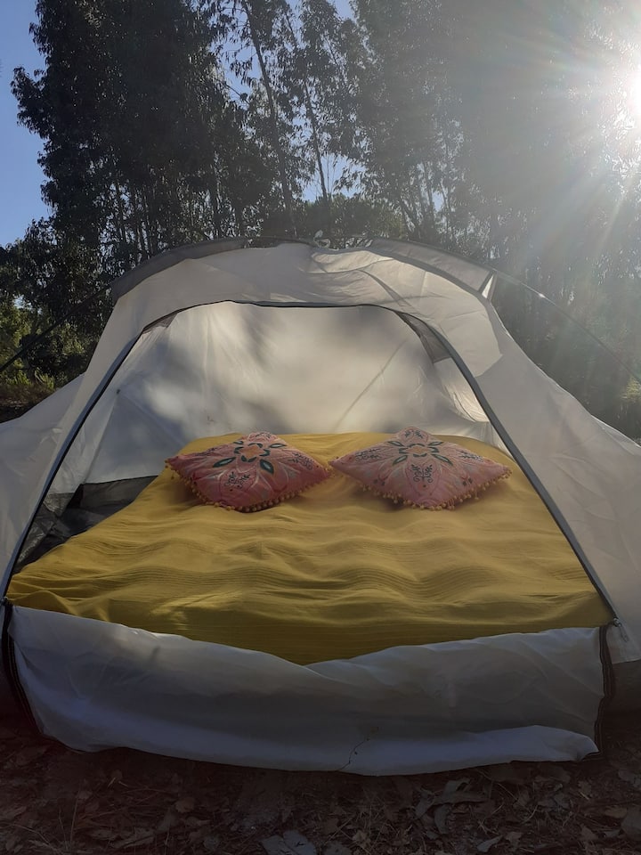 Палатка one Nights Tent