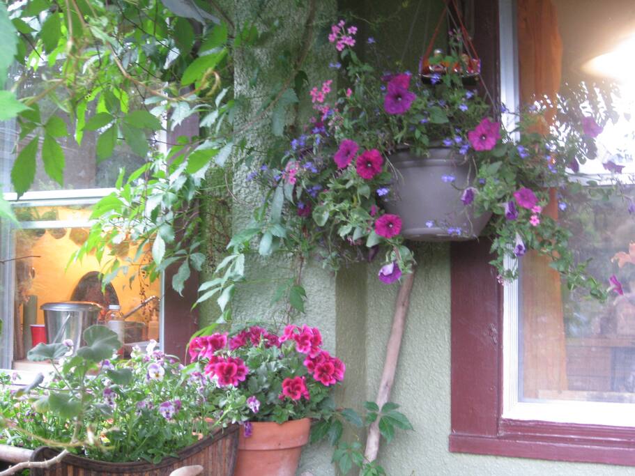 Front Entrance