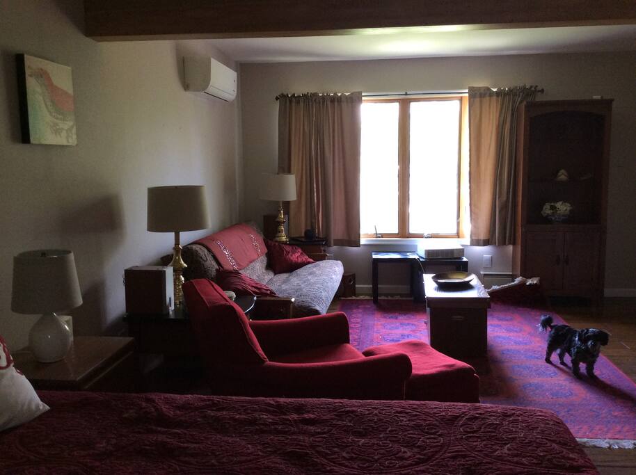 Living room end with futon, suitable for extra adult or 2 children