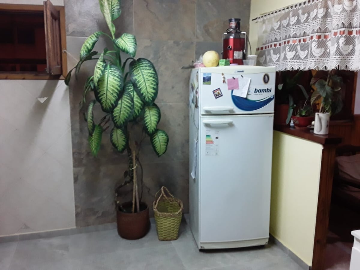 A simple kitchen space is shown, featuring a white refrigerator adorned with various notes and magnets. A decorative green plant stands in a woven basket beside the fridge. Natural light filters through a lace curtain, highlighting the warm tones of the wall.