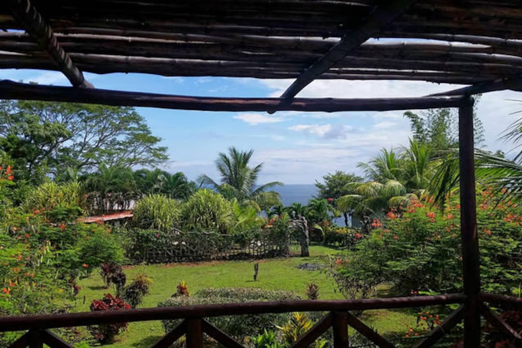 View from the terrace