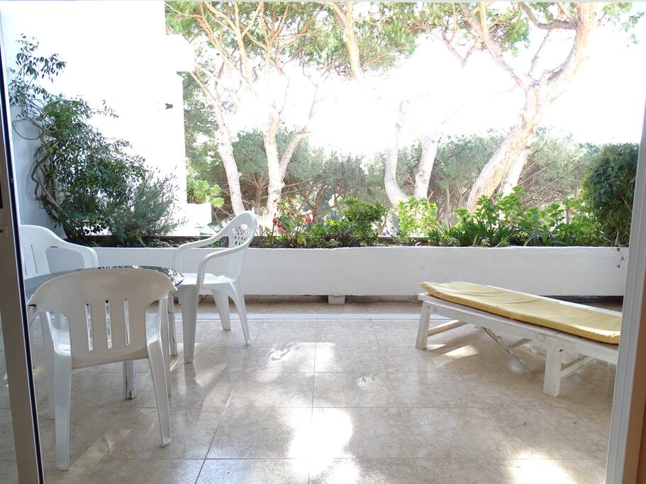 Terraza