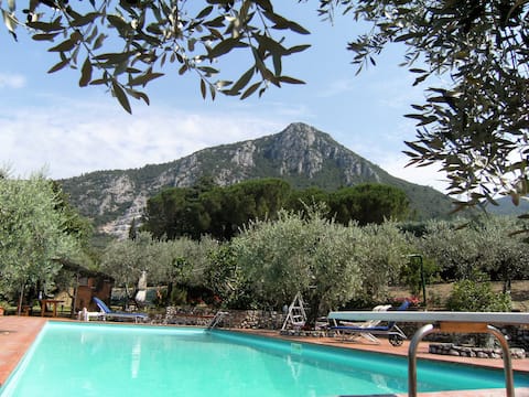 Apartment with panoramic terrace and swimming pool