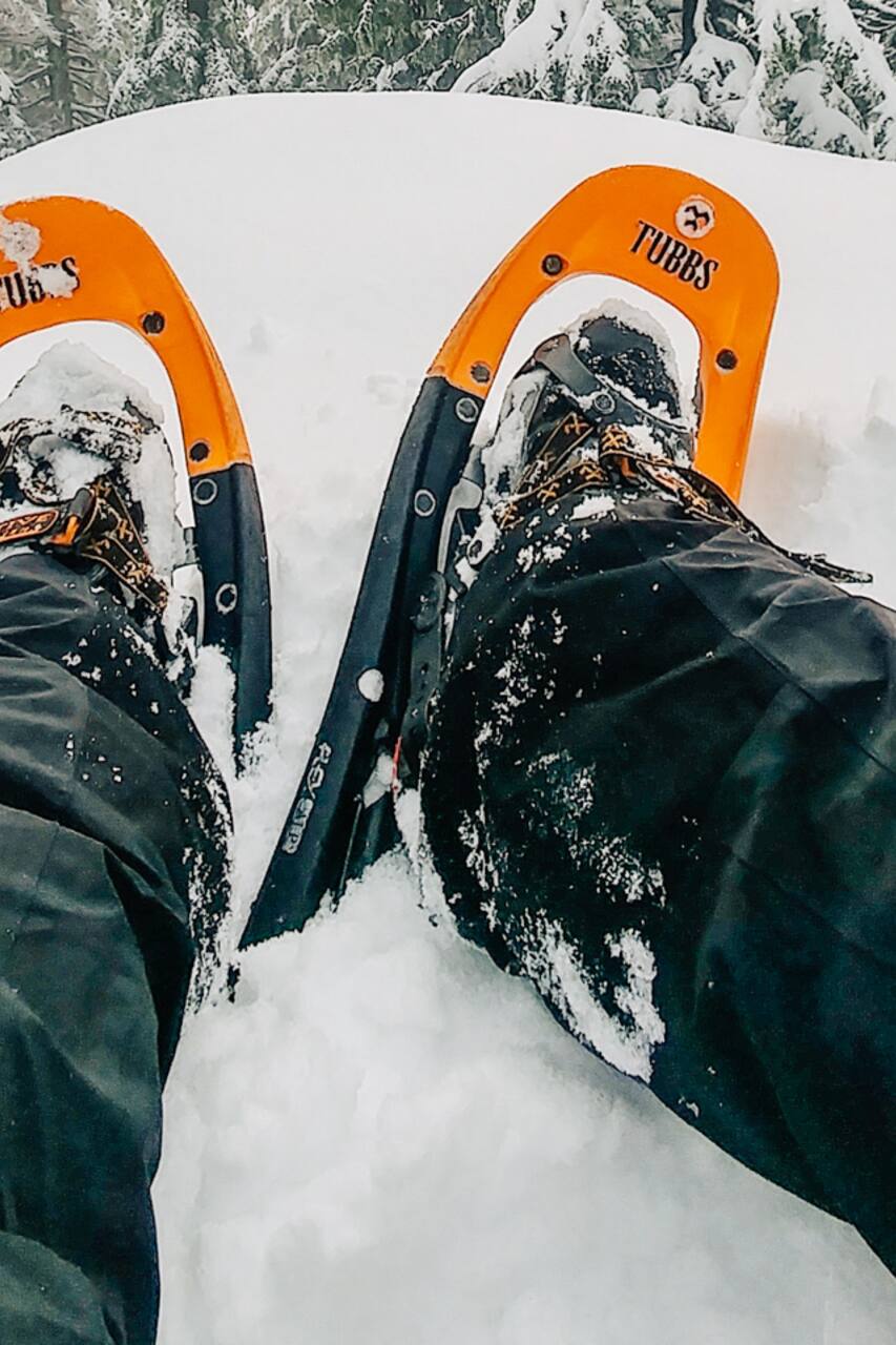 Free Free 91 Snowshoes Svg SVG PNG EPS DXF File