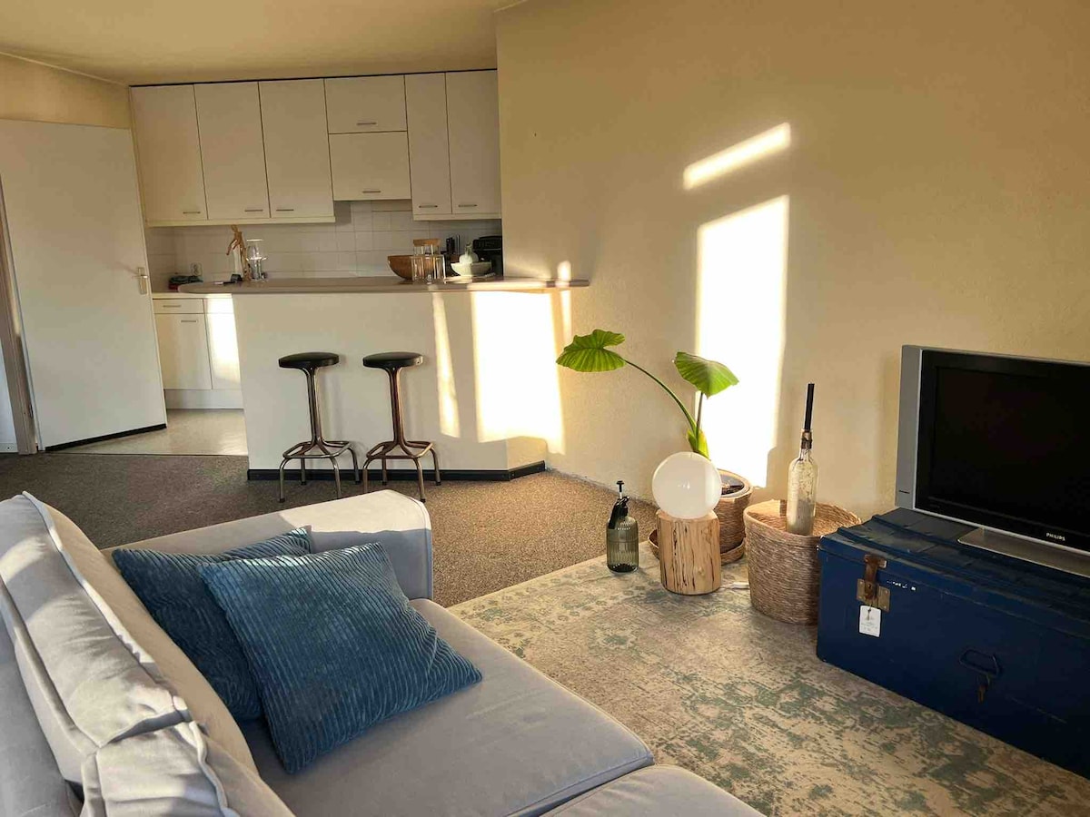 A cozy living space is shown, featuring a light-colored sofa with decorative cushions. Natural light enters through a window, casting gentle shadows. A small dining area with two bar stools is visible behind the sofa. A television sits atop a storage trunk, alongside decorative plants and bottles.