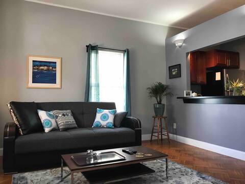 Apartment 1BR mins from JFK/UMASS on Red Line