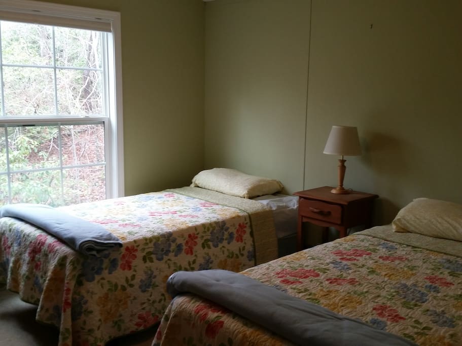 twin beds in second bedroom