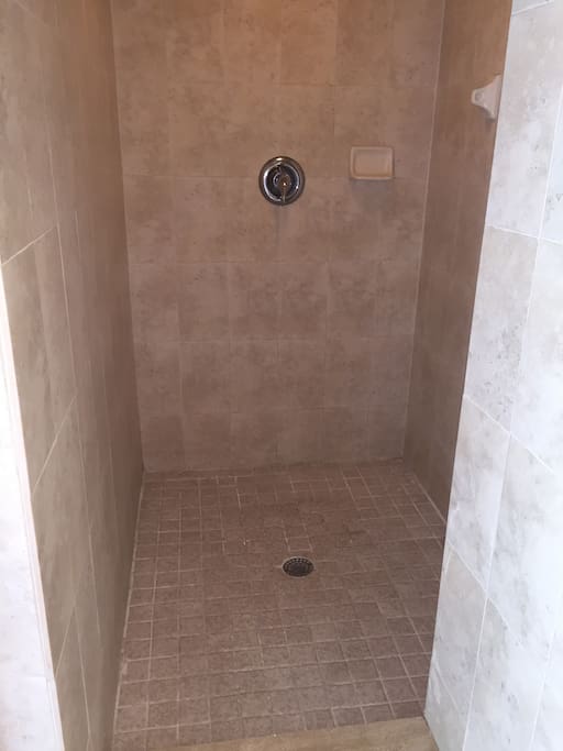 Walk-in shower