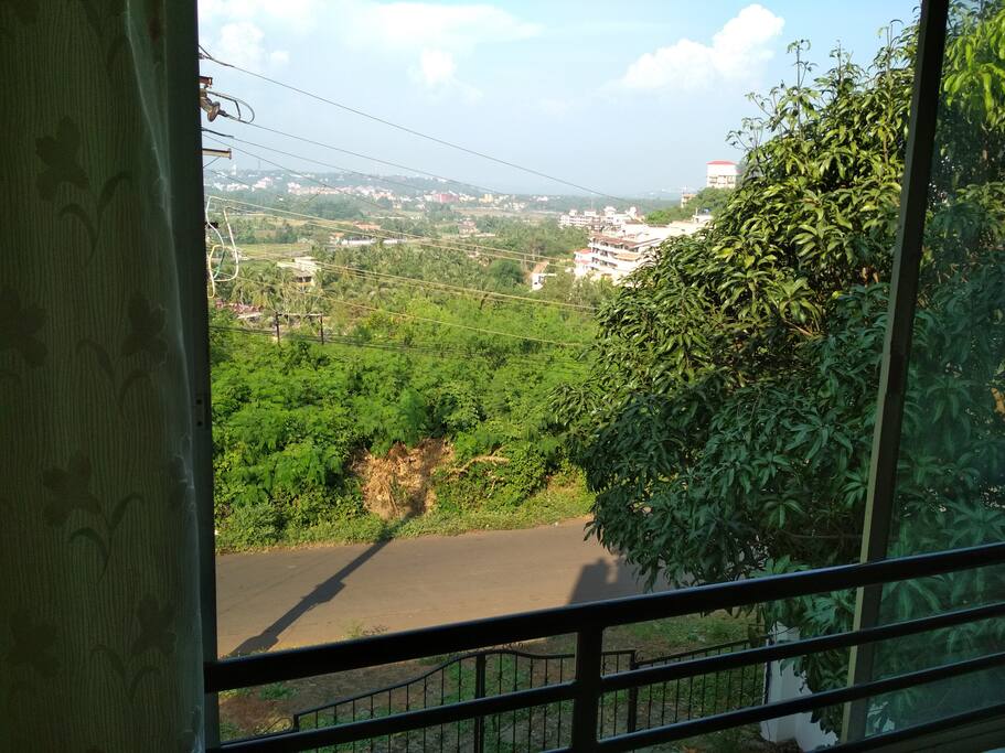 View from room