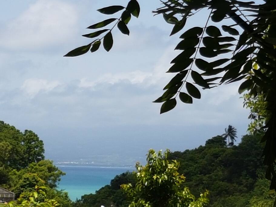 VUE SUR SOUFRIERE