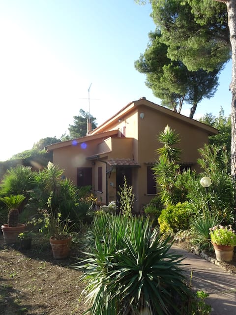 House with a sea view
