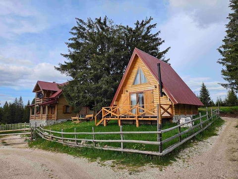 Aleksa's chalet