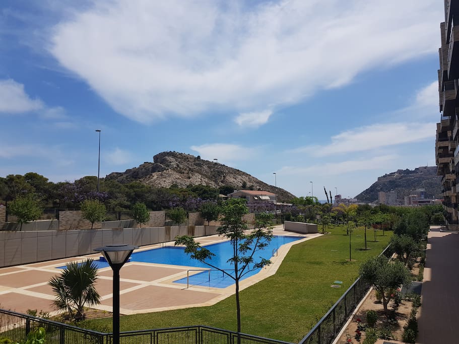 Pool area