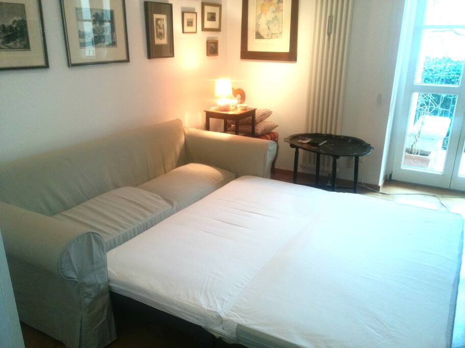 Your room with the new pull out sofa in action.