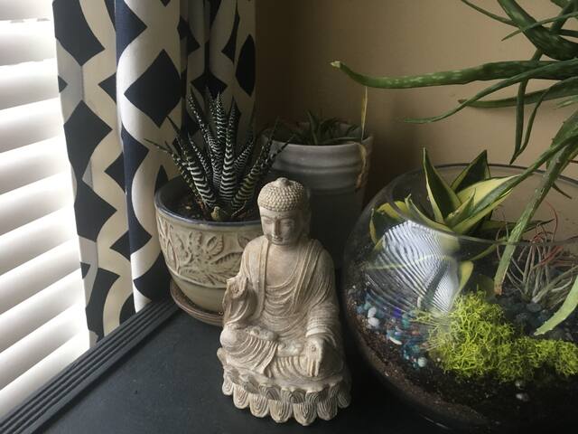 Hospitality in ecofriendly condo w/ fruit & coffee