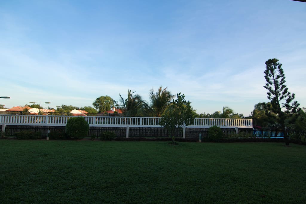 Our backyard view, taken in the late afternoon.