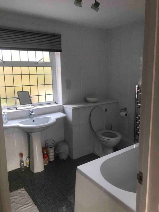 Ensuite bathroom (big shower behind the door!)
