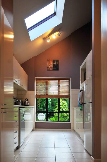 Modern, well-appointed kitchen