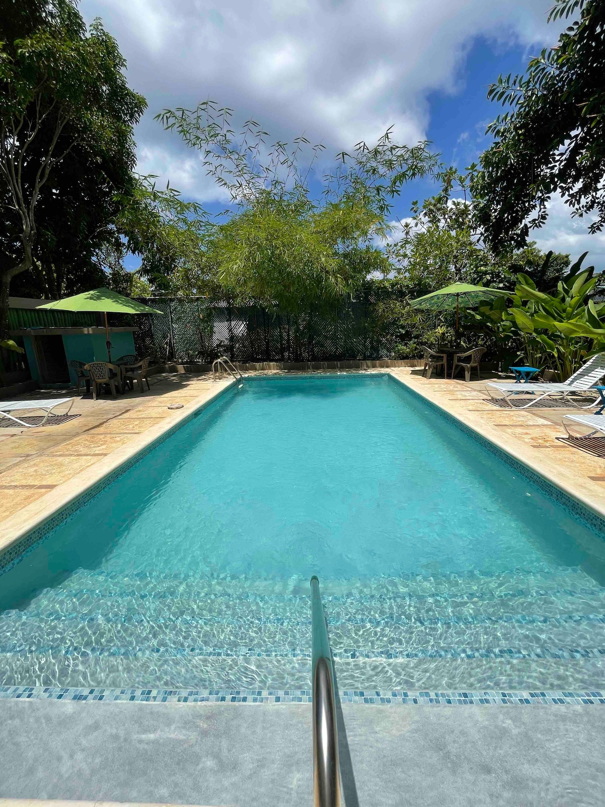 A serene swimming pool is surrounded by lush greenery and shaded by trees. Umbrellas are positioned beside the pool, providing shaded seating areas. The clear blue water reflects the sky, inviting relaxation and leisure.