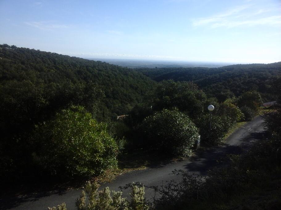 la vue de la maison
