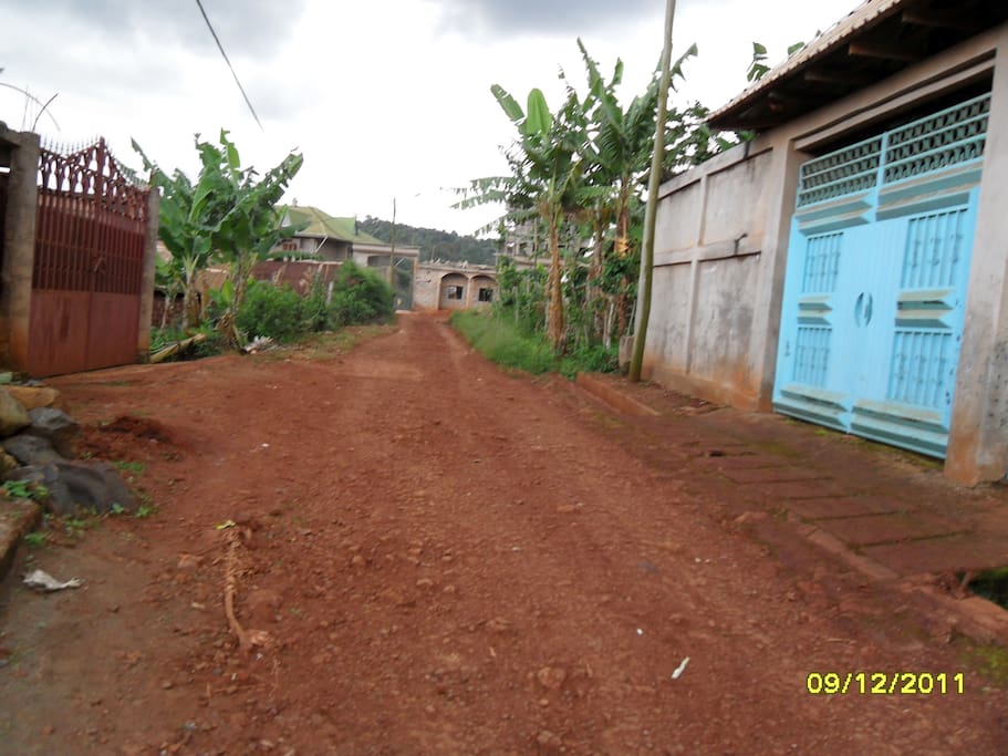 la route devant la maison