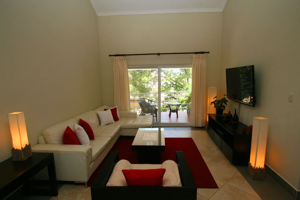 Living room and terrace
