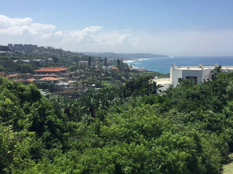 View from the terrace