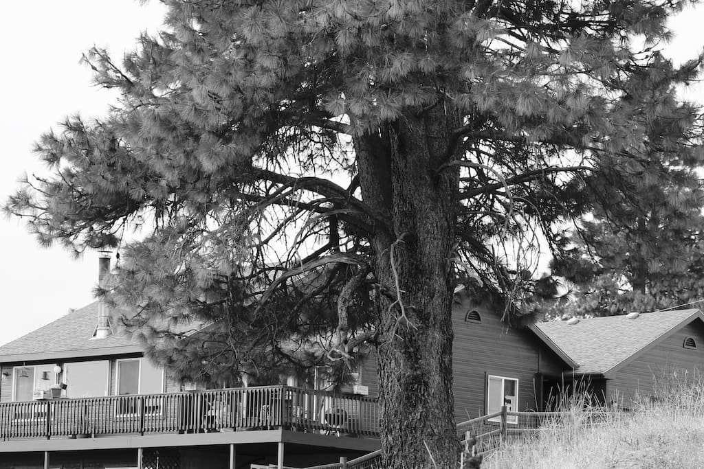 Entire house from the hill