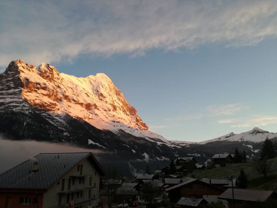 View from the terrace