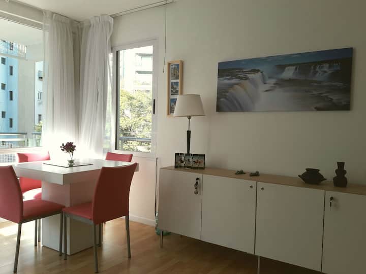One-bedroom apartment in Recoleta