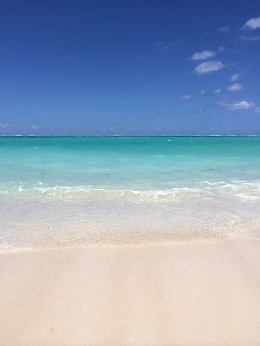 our beach, could be yours!!!