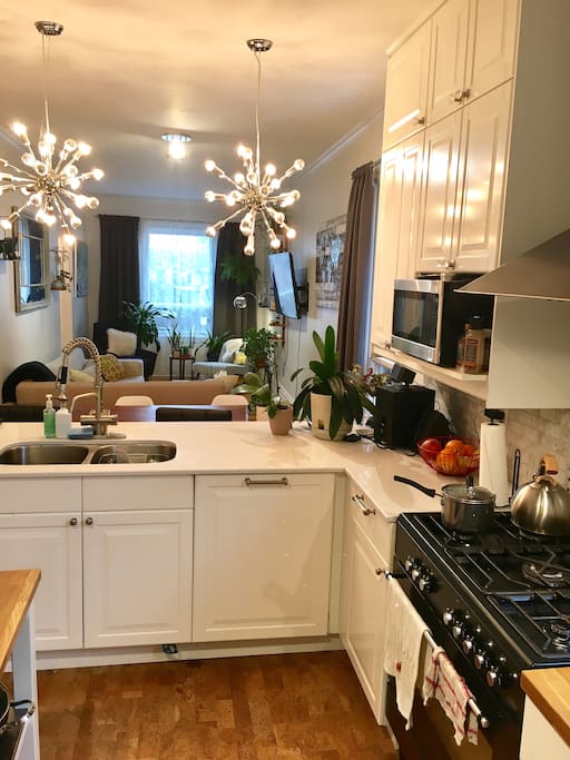 Renovated kitchen that will fit all of your cooking needs