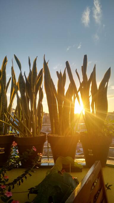 Amanecer desde la terraza