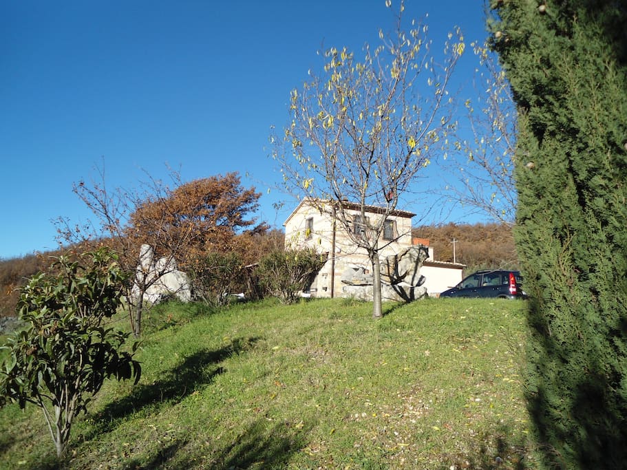giardino della casa