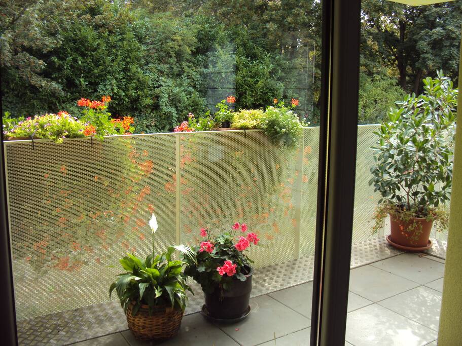 partie de la terrasse en été