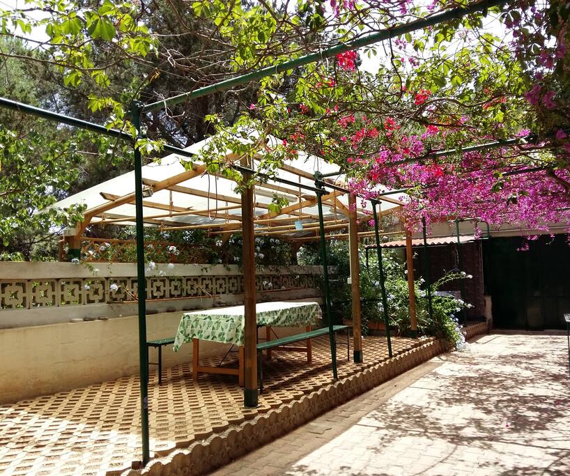 Cortile