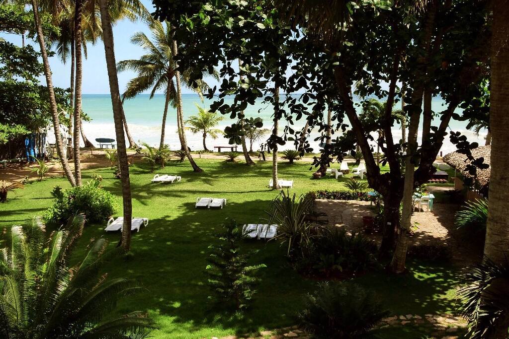 from your terrace view..."
