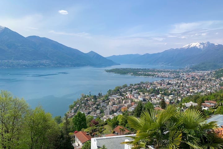 Lucertola Brione - enjoy the view.