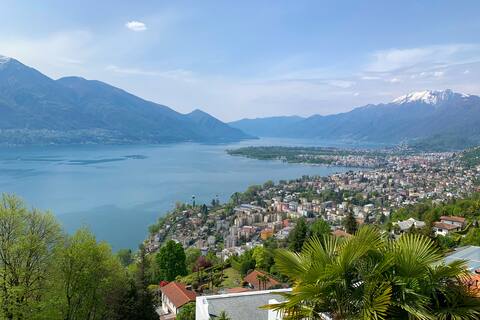 Lucertola Brione - enjoy the view.