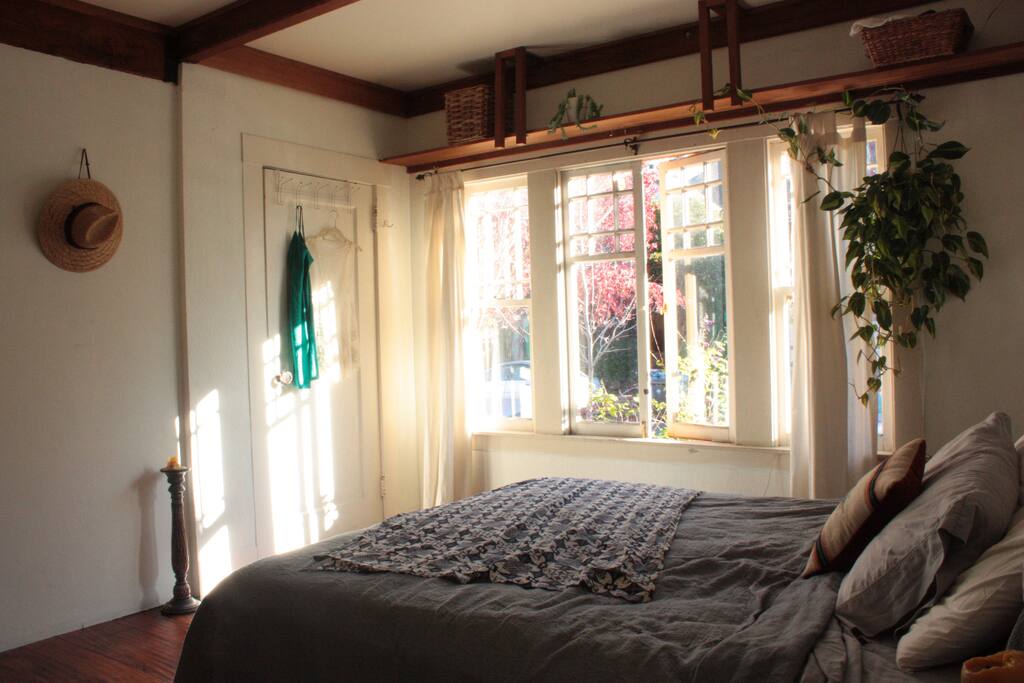 Morning sun comes through your bedroom's window.