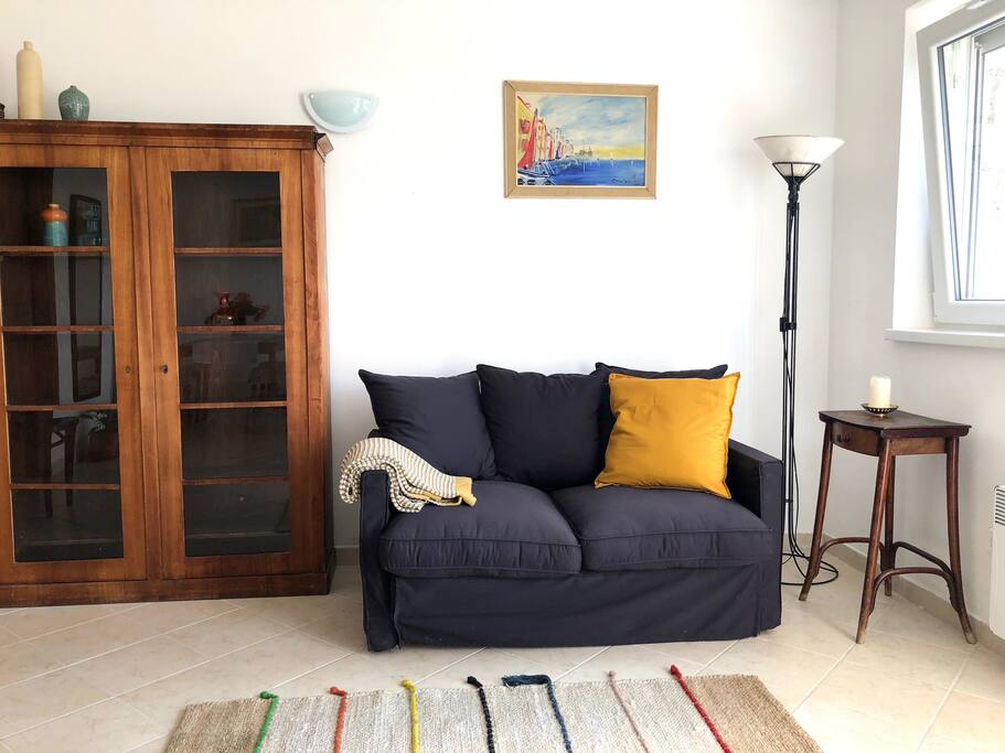 Living room with sofa bed