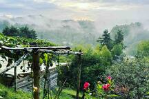 Boquía House - Casa Grande: Manzanillo