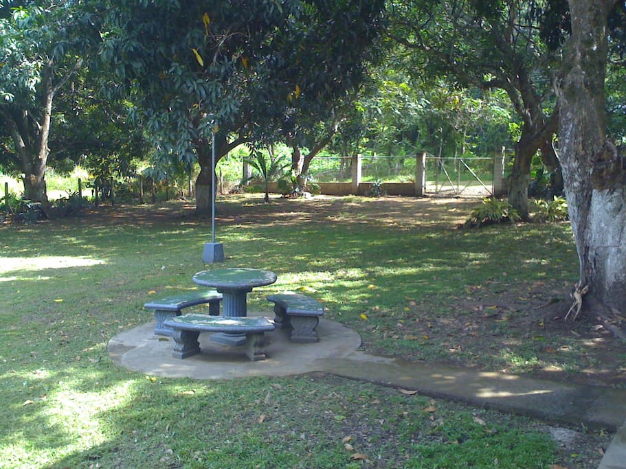 En el acceso principal podrá disfrutar de la gran sombra generada por arboles de mango.